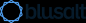 Blusalt Financial Services Limited logo